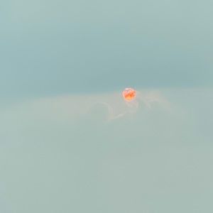 Meet your Posher, Kasia